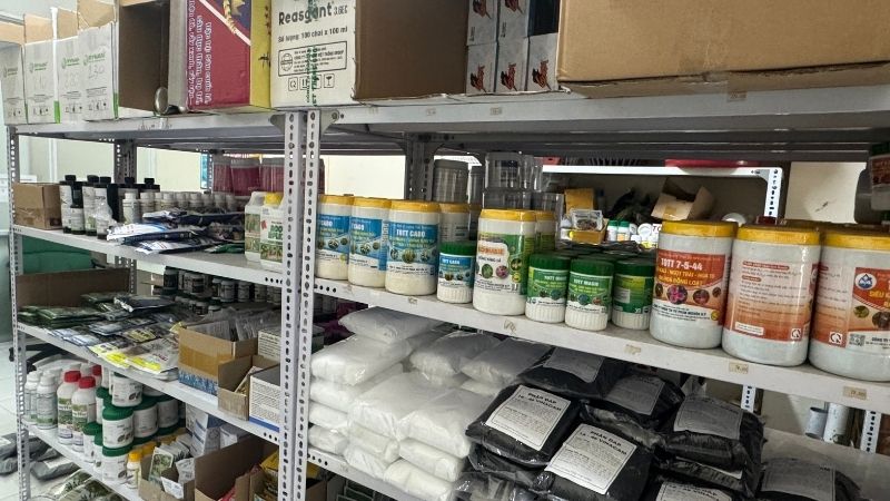 Xanh Bất Tận - Địa chỉ mua phân bón chăm sóc Mai vàng giá tốt tại TP.HCM