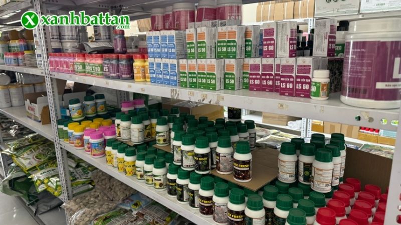 Mua thuốc kích hoa cho Lan ở đâu giá tốt tại TP.HCM?