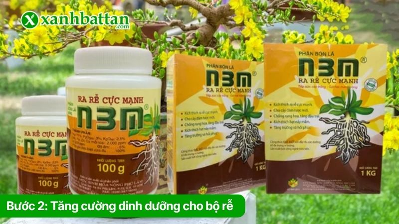Bước 2: Tăng cường dinh dưỡng cho bộ rễ