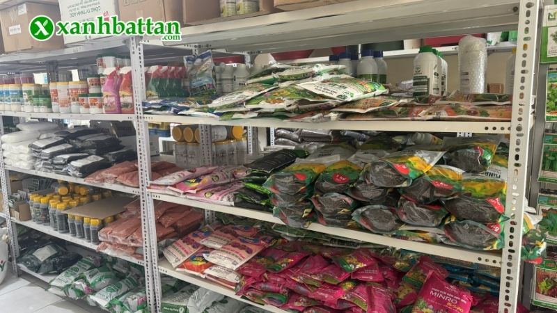 Xanh Bất Tận - Địa chỉ mua thuốc kích hoa cho Lan giá tốt tại TP.HCM