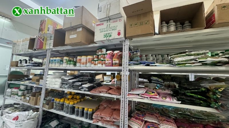 Địa chỉ mua thuốc kích hoa cho Lan giá tốt tại TP.HCM?