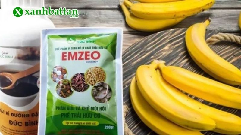 Hướng dẫn cách làm dịch chuối tưới hoa Hồng bằng chế phẩm EM