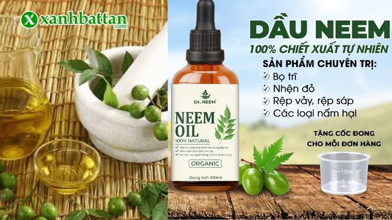 Dầu Neem Oil là gì? Công dụng chính