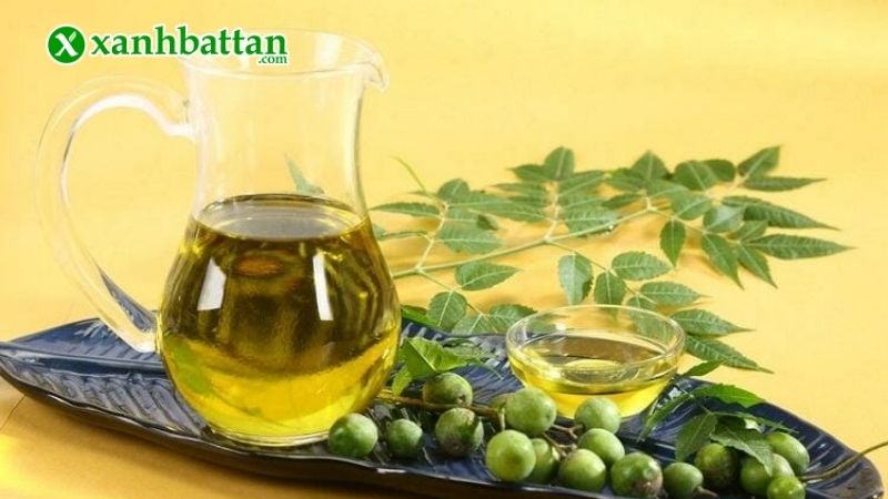 Cách nhũ hoá dầu Neem Oil bằng bồ hòn trừ bọ trĩ hoa Hồng