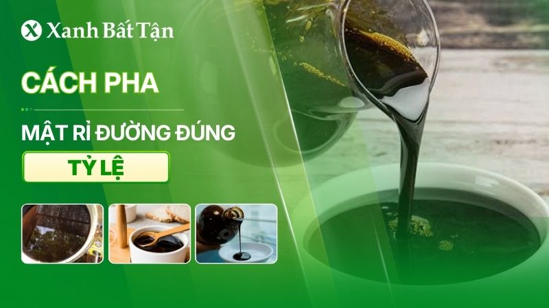 Hướng dẫn cách pha mật rỉ đường đúng tỷ lệ bón cây