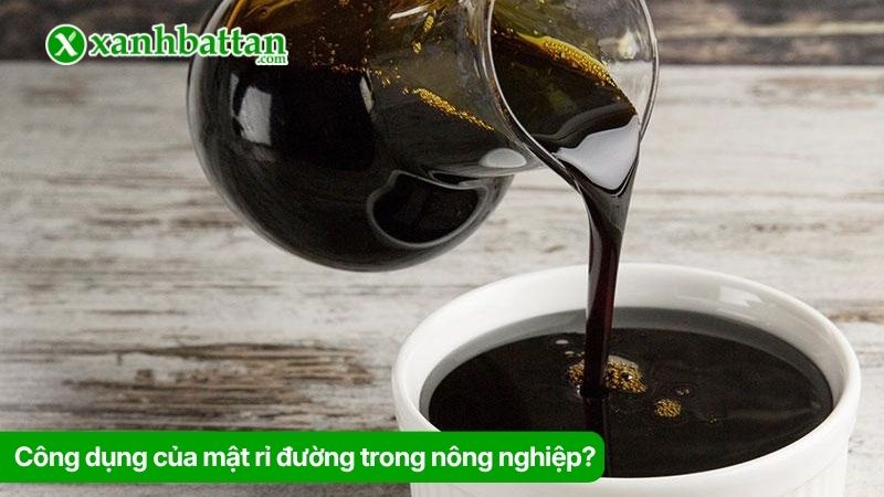 Công dụng của mật rỉ đường trong nông nghiệp?
