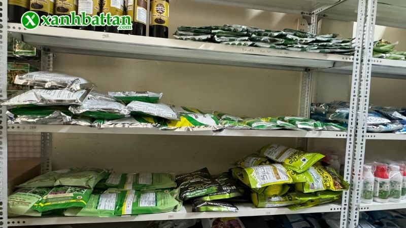 Xanh Bất Tận - Địa chỉ mua phân bón chăm sóc Mai vàng giá tốt tại TP.HCM?
