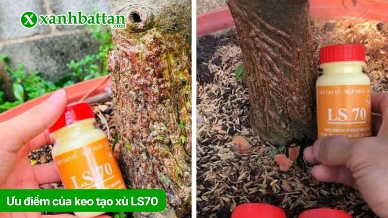 Ưu điểm của keo tạo xù LS70