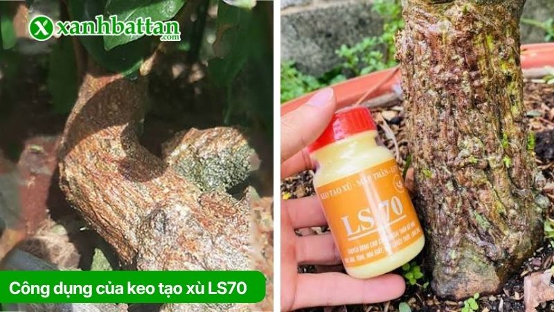 Công dụng của keo tạo xù LS70
