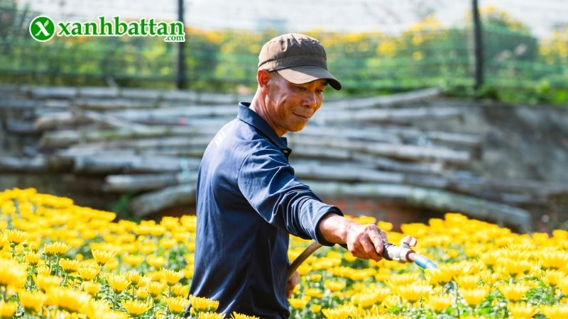 Độ ẩm cần thiết cho cây trồng
