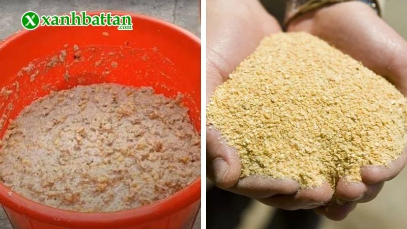 Vai trò của đậu tương đối với cây trồng?