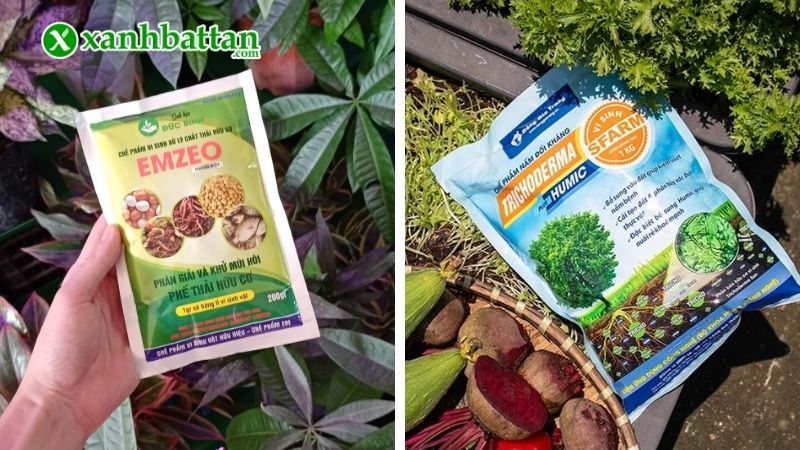 Cách ủ đậu tương với Trichoderma hay Emzeo tốt hơn?