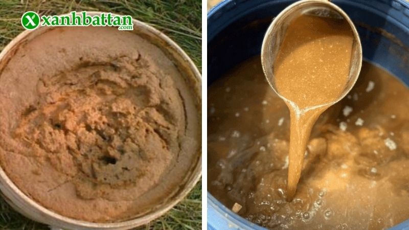 Cách ủ đậu tương với Trichoderma kết hợp Emzeo