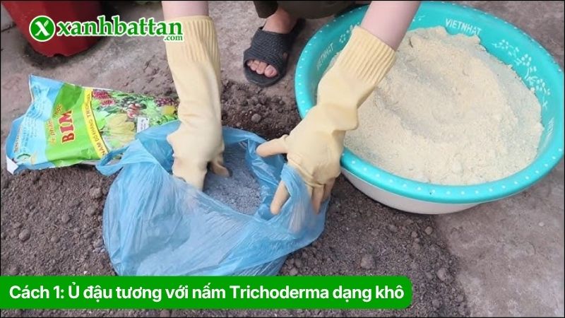 Cách 1: Ủ đậu tương với nấm Trichoderma dạng khô