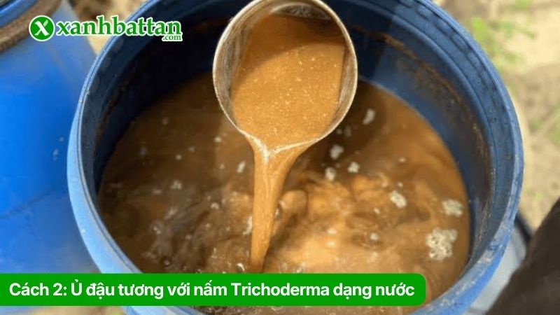 Cách 2: Ủ đậu tương với nấm Trichoderma dạng nước
