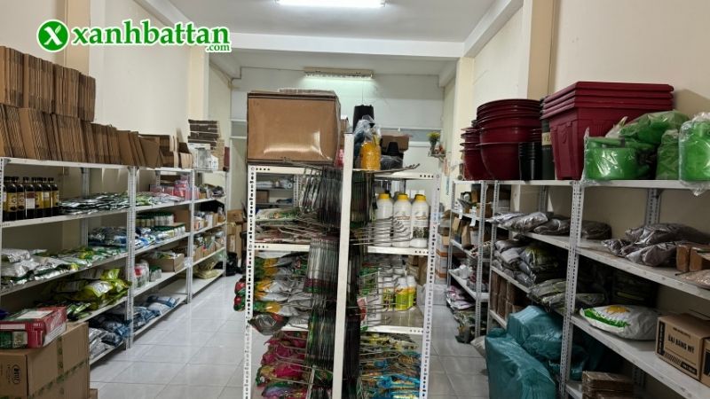 Xanh Bất Tận - Địa chỉ mua nấm đối kháng Trichoderma chất lượng tại TP.HCM