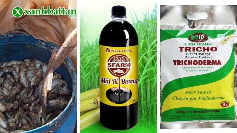 Chuẩn bị nguyên liệu ủ đạm cá