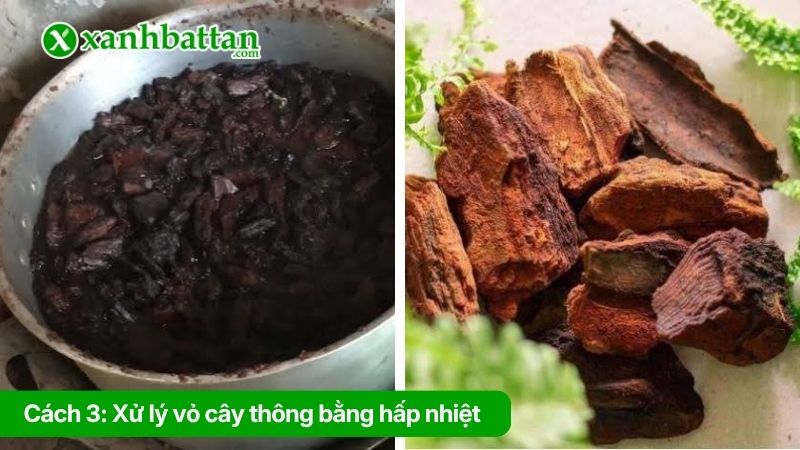 Cách 3: Xử lý vỏ cây thông bằng cách luộc chín (hấp nhiệt)