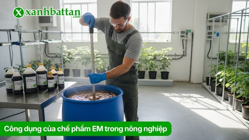Công dụng của chế phẩm EM trong nông nghiệp
