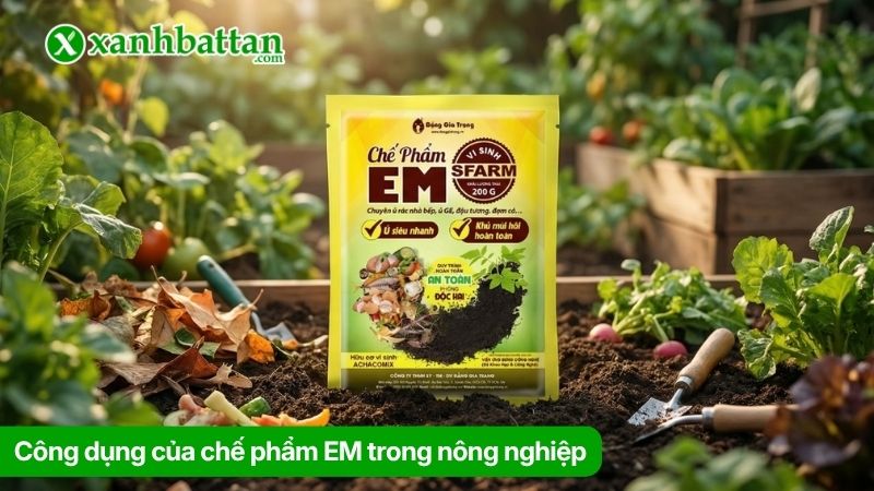 Hỗ trợ cây trồng sinh trưởng khỏe mạnh