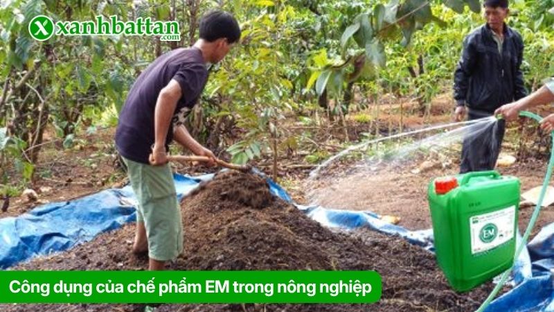 Hỗ trợ giảm nhu cầu sử dụng hóa chất trong canh tác