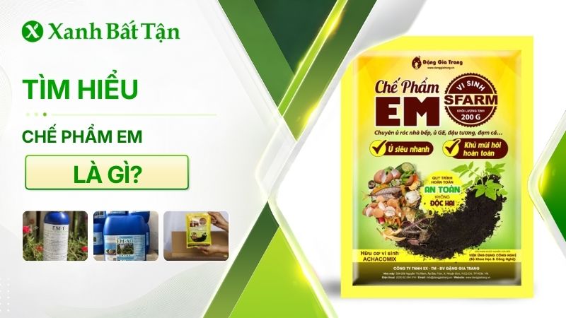 Tìm hiểu chế phẩm EM là gì? Công dụng, cách sử dụng