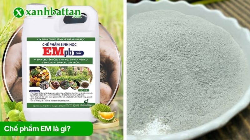 Chế phẩm EM là gì? Thành phần chủ yếu