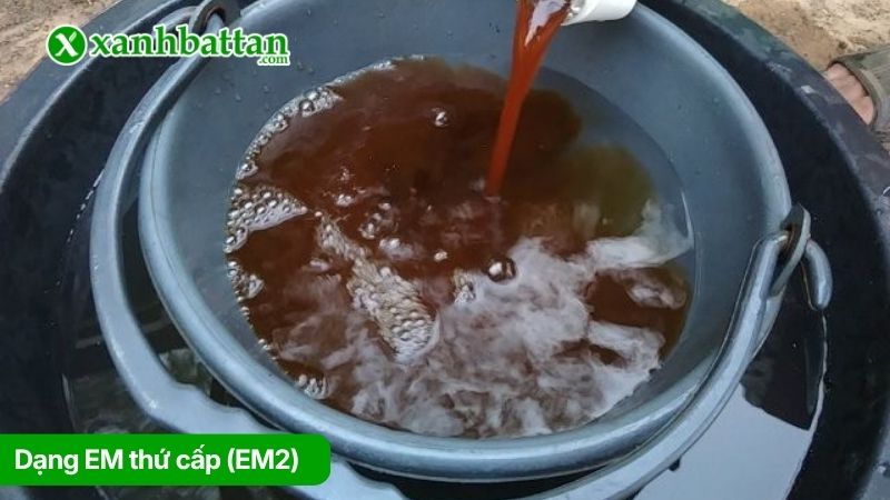 Dạng EM thứ cấp (EM2)