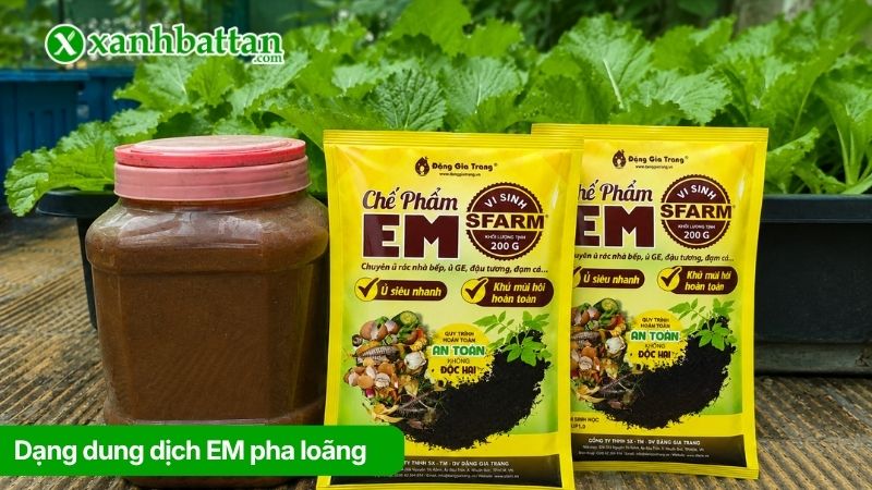 Dạng dung dịch EM pha loãng
