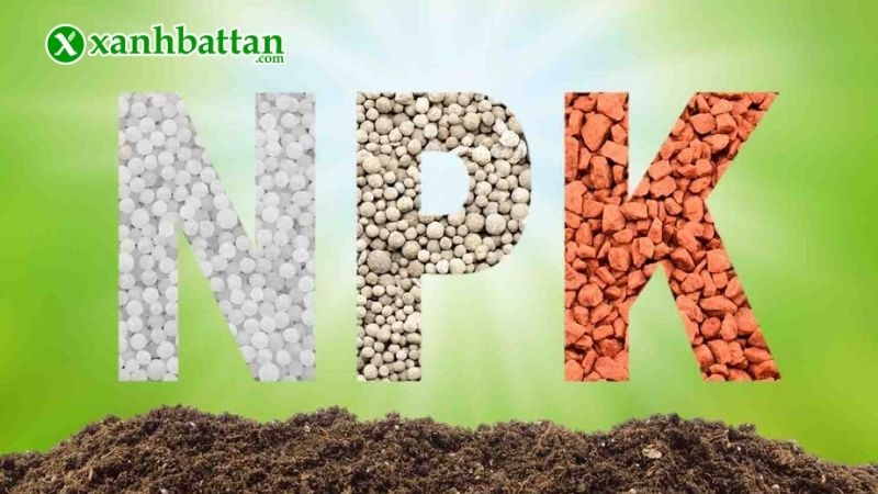 Phân bón NPK là gì?