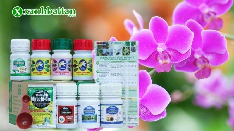Combo 8 Premium cho Lan gồm những sản phẩm nào?