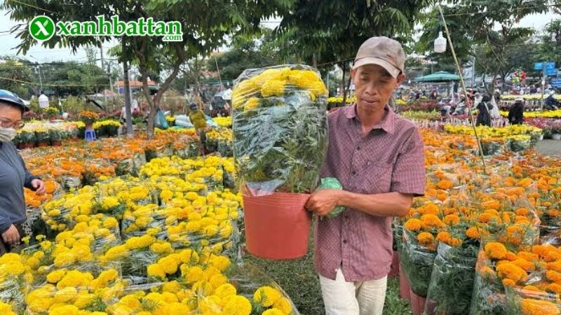 Hình ảnh các loại hoa trồng Tết đẹp trong năm