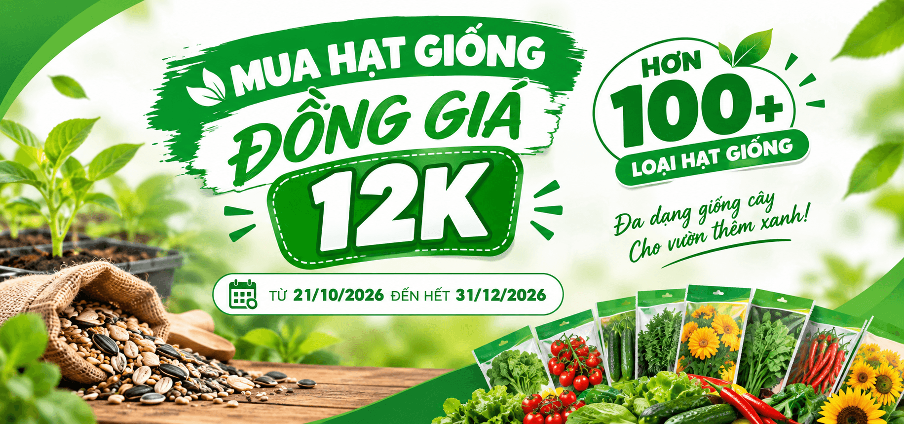 HẠT GIỐNG ĐỒNG GIÁ 12K – TRỒNG CÂY THẢ GA, TIẾT KIỆM TỐI ĐA