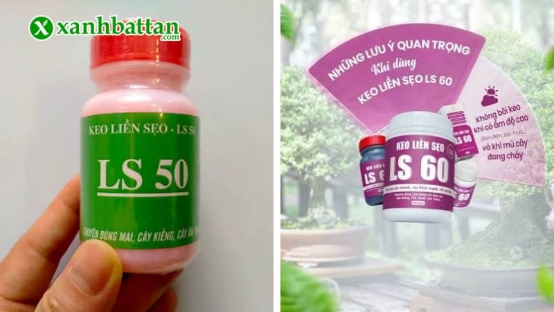 Xanh Bất Tận - Địa chỉ mua keo liền sẹo cây giá tốt tại TP.HCM?