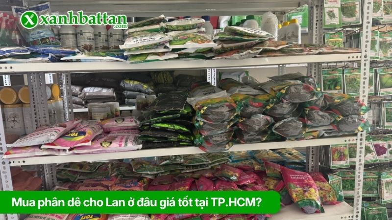 Mua phân dê cho Lan ở đâu giá tốt tại TP.HCM?