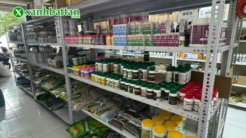 Xanh Bất Tận - Địa chỉ mua thuốc bảo vệ thực vật uy tín tại TP.HCM?