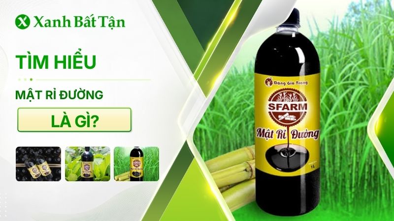 Tìm hiểu mật rỉ đường là gì? Công dụng, cách sử dụng