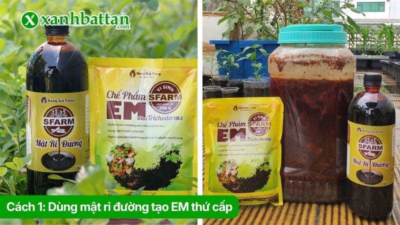 Cách 1: Dùng mật rỉ đường tạo EM thứ cấp