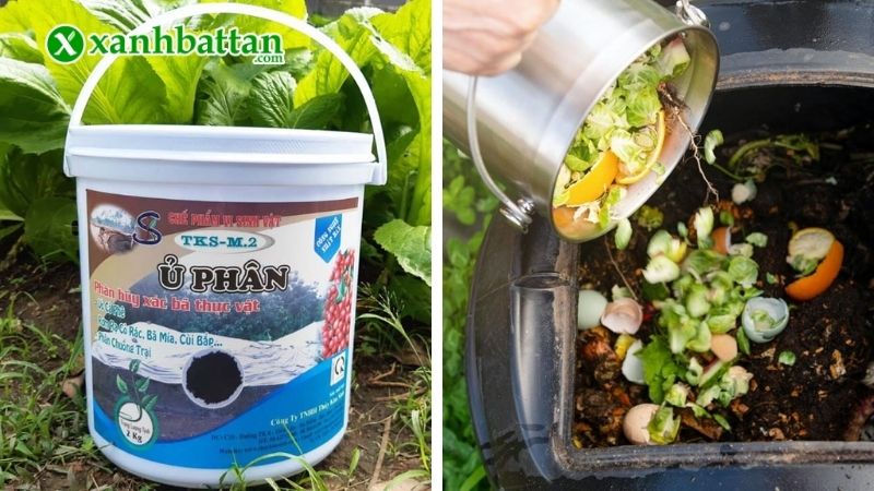 Công dụng nổi bật của men vi sinh ủ phân