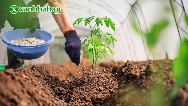 Ứng dụng mô hình ủ phân trong nông nghiệp, trồng rau và chăm sóc cây cảnh