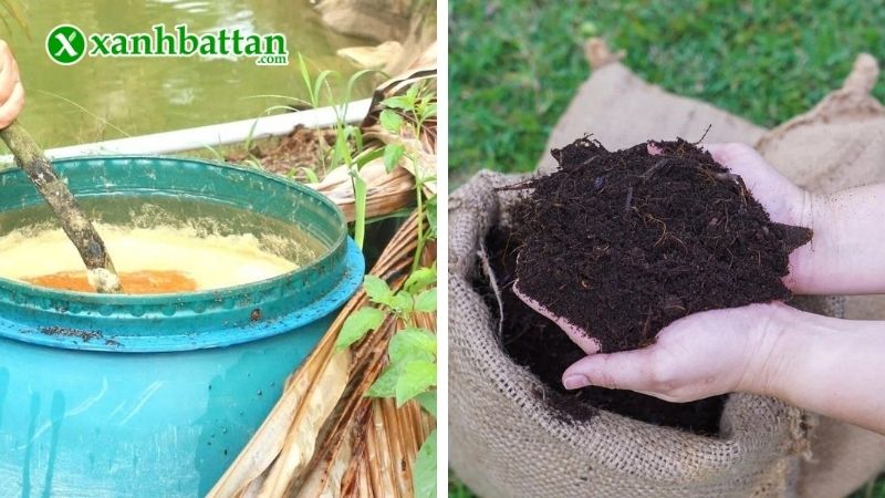 Chế phẩm vi sinh EMIC có thật sự tốt không?