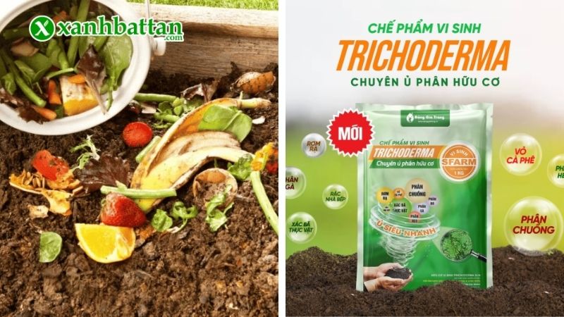 Cách sử dụng nấm Trichoderma để ủ rác thải, phân hữu cơ