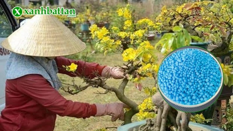 Hướng dẫn cách sử dụng phân bón NPK 30-10-10 đúng