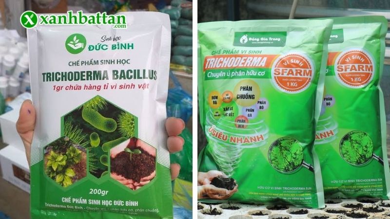 Lưu ý khi sử dụng nấm đối kháng Trichoderma