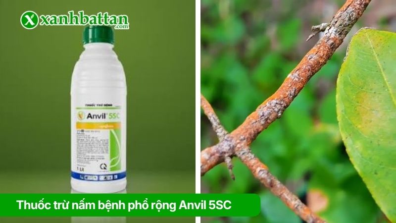 Thuốc trừ nấm bệnh phổ rộng Anvil 5SC