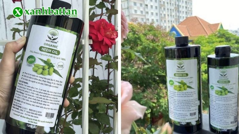 Neem Oil là gì? Neem Oil trừ bọ trĩ có độc không?