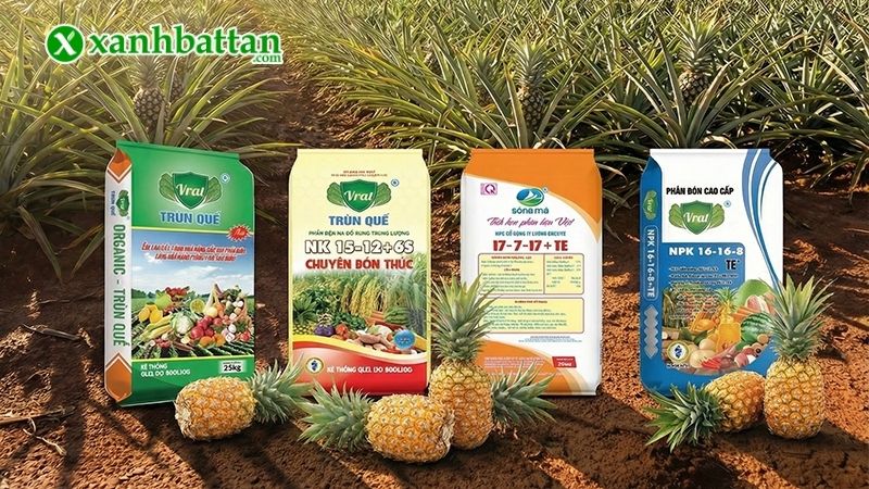 Cách sử dụng phân bón NPK hiệu quả