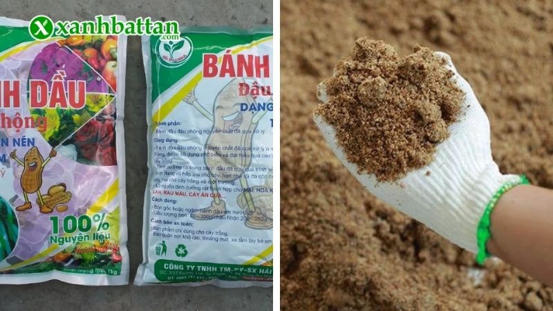 Cách sử dụng phân bánh dầu hữu cơ hiệu quả