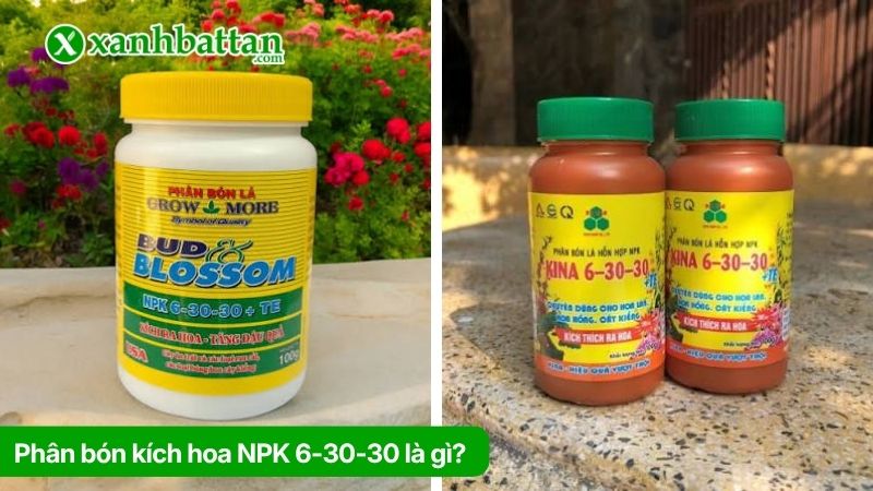 Phân bón kích hoa NPK 6-30-30 là gì?