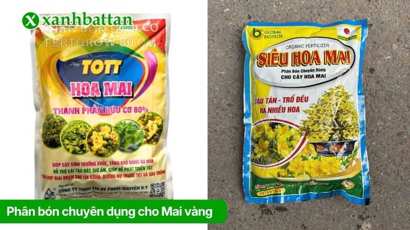 Phân bón chuyên dụng chăm sóc Mai vàng